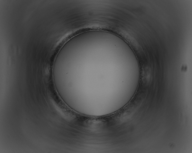 X0000091540208200708311339