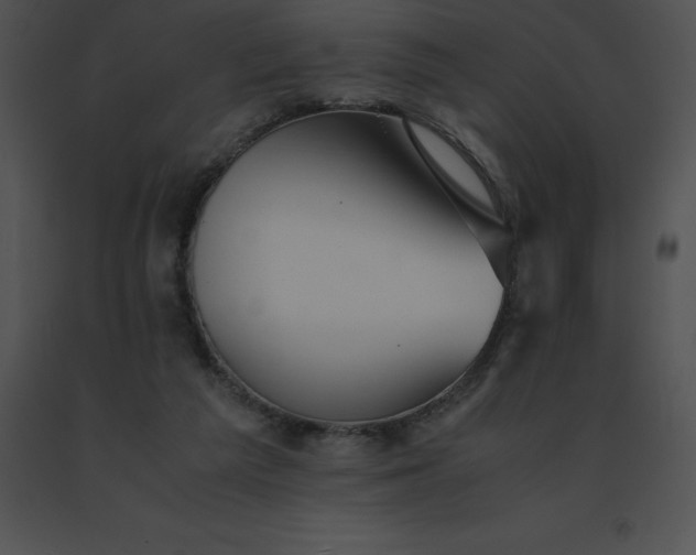 X0000091540209200708311339