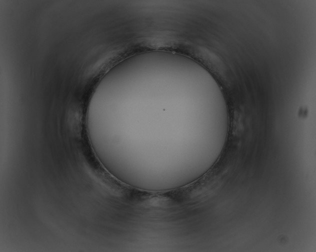 X0000091540210200708311339