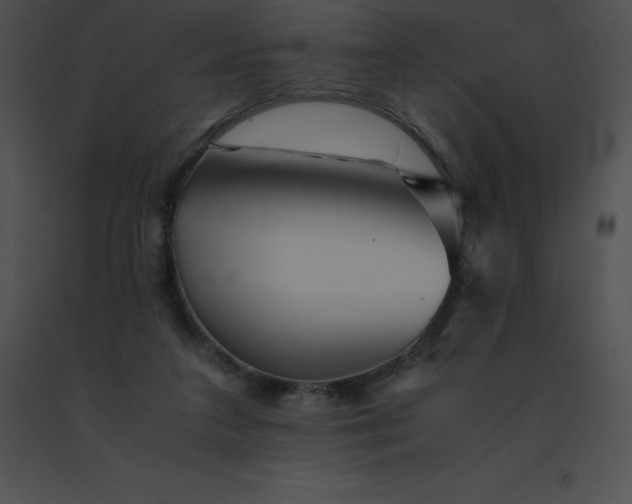 X0000091540211200708311339