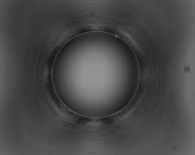 X0000091540213200708311339