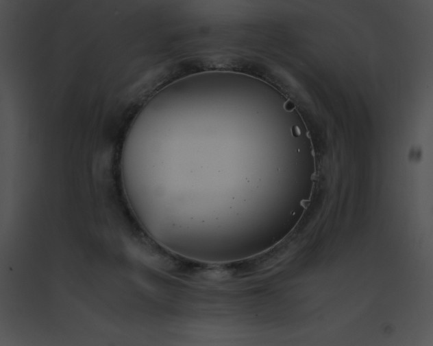 X0000091540217200708311339