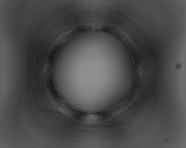 X0000091540218200708311339