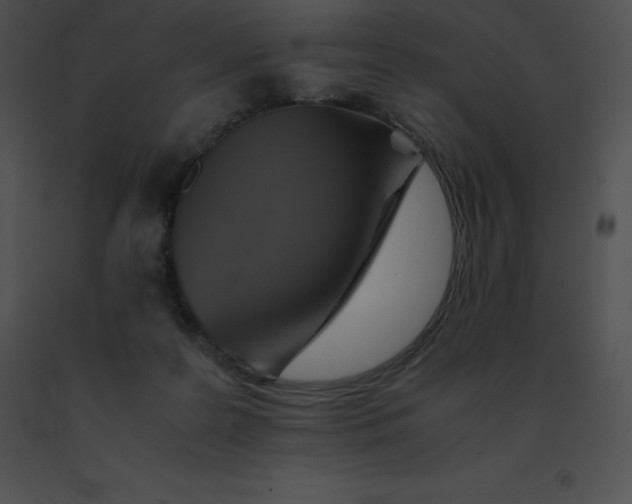 X0000091540219200708311339