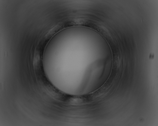 X0000091540220200708311339