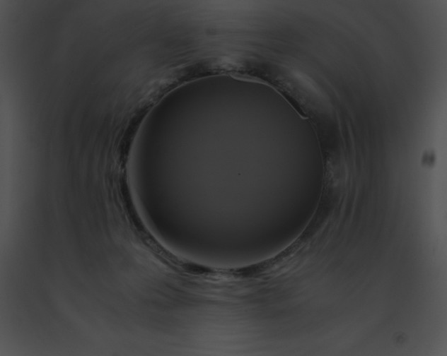 X0000091540223200708311339