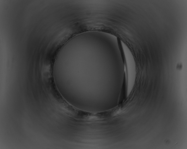 X0000091540224200708311339