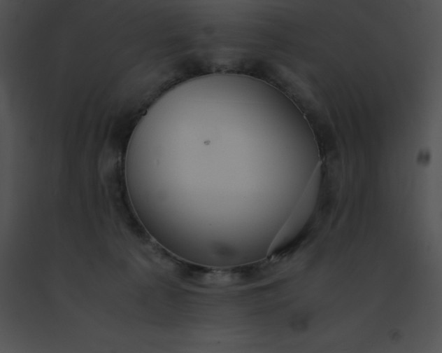 X0000091540225200708311339