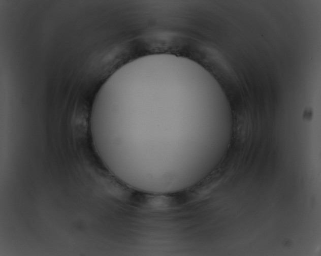 X0000091540226200708311339