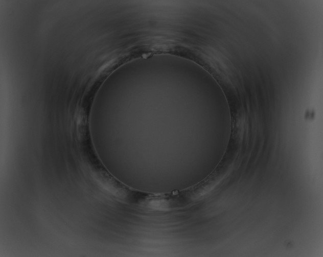 X0000091540228200708311339