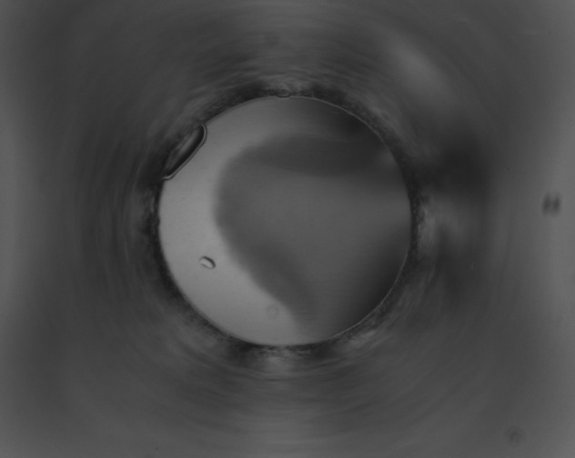 X0000091540229200708311339