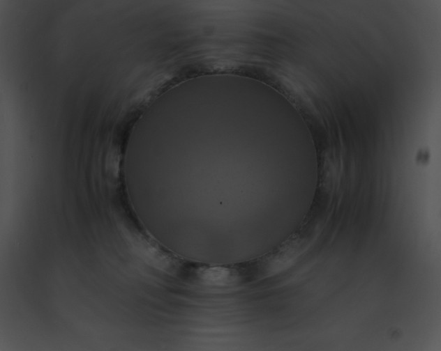 X0000091540230200708311339