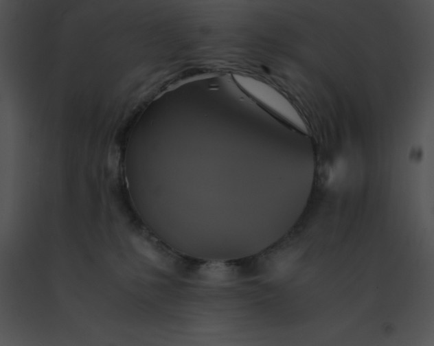 X0000091540231200708311339