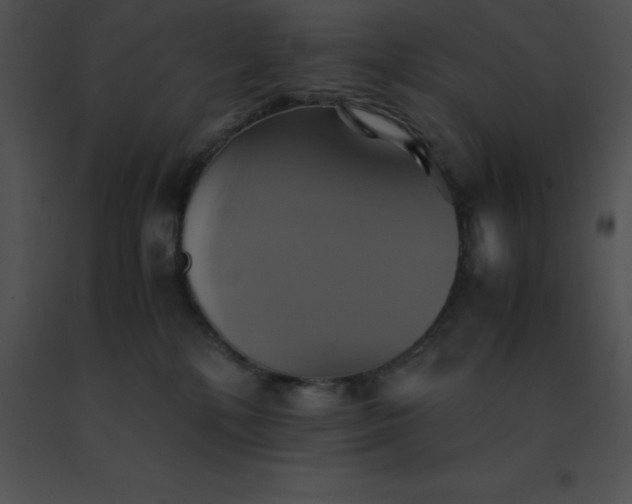 X0000091540232200708311339