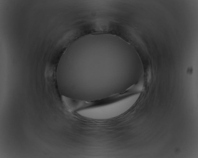 X0000091540233200708311339