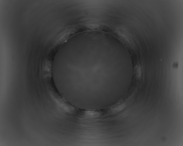 X0000091540234200708311339