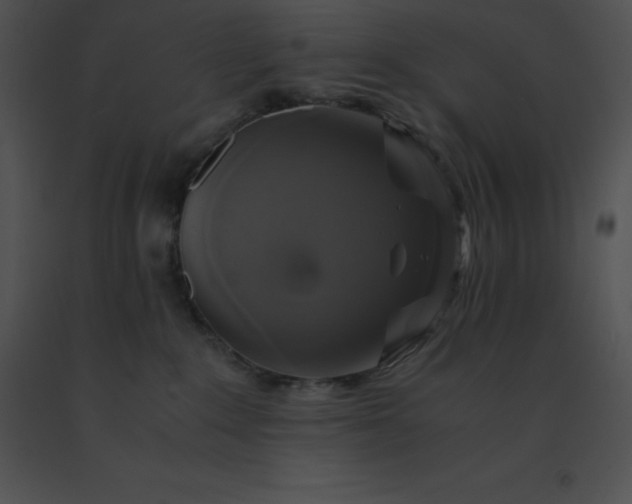 X0000091540235200708311339