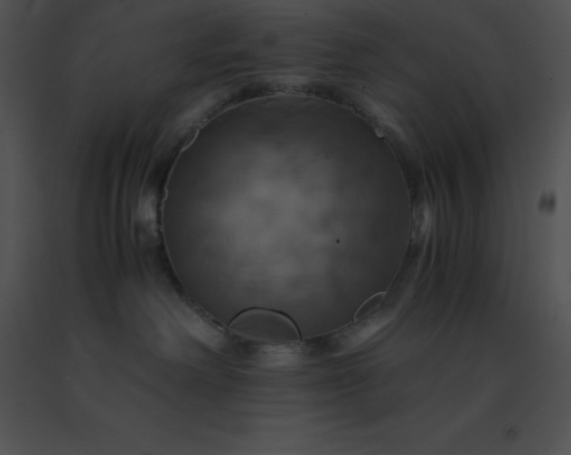 X0000091540238200708311338