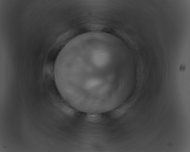 X0000091540240200708311338
