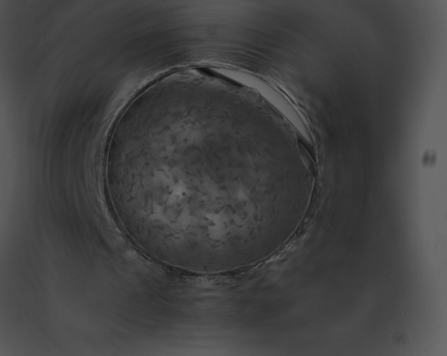 X0000091540241200708311338