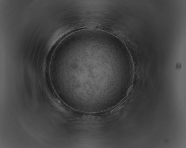 X0000091540242200708311338