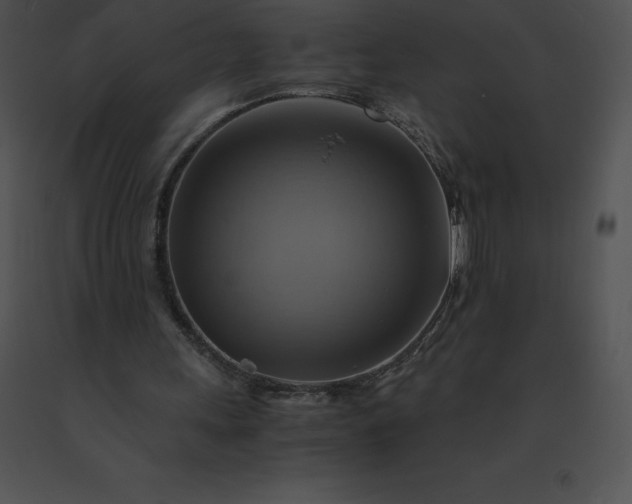 X0000091540243200708311338