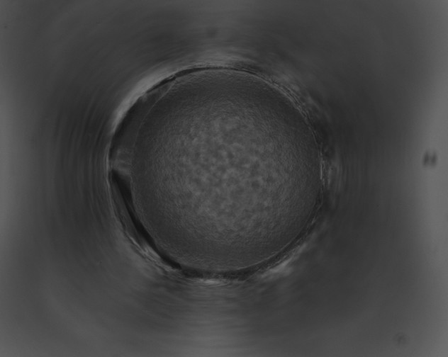 X0000091540244200708311338