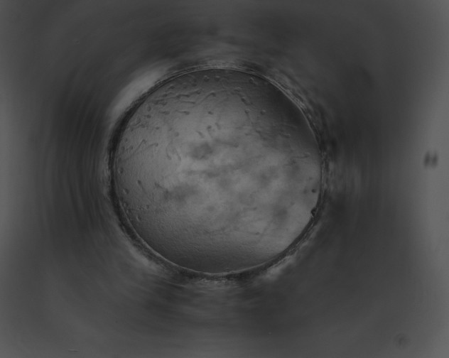 X0000091540245200708311338