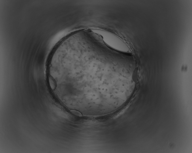 X0000091540246200708311338