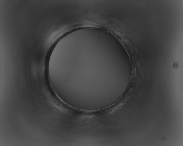 X0000091540247200708311338