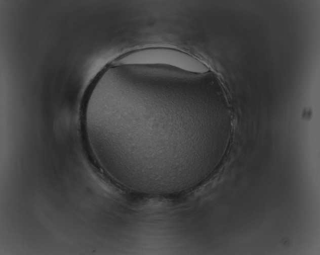 X0000091540248200708311338