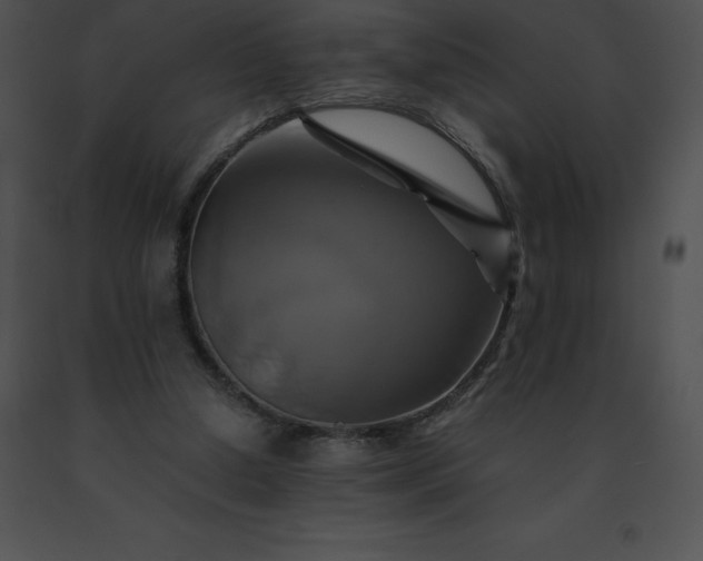X0000091540250200708311338