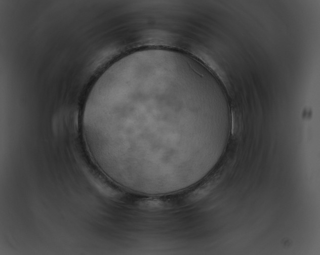 X0000091540253200708311338