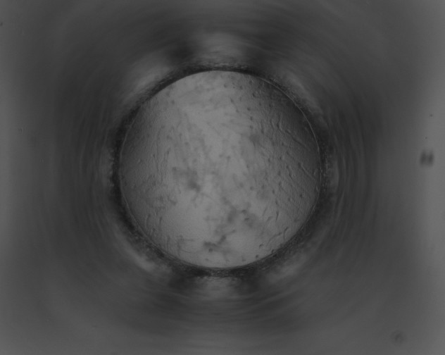 X0000091540255200708311338