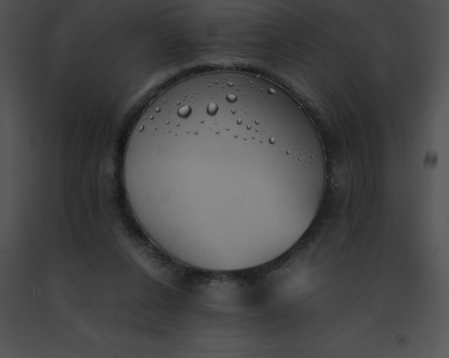 X0000091540256200708311338