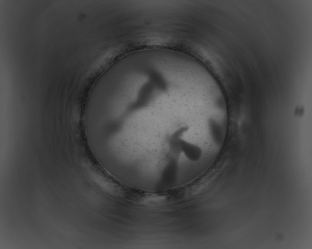 X0000091540257200708311338