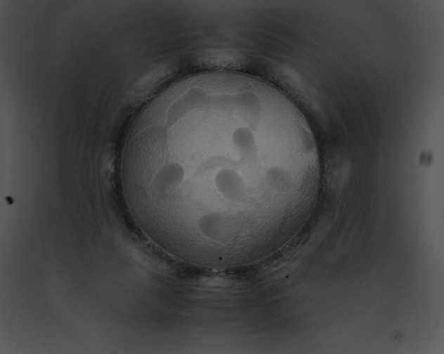 X0000091540259200708311338