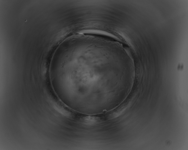 X0000091540261200708311338
