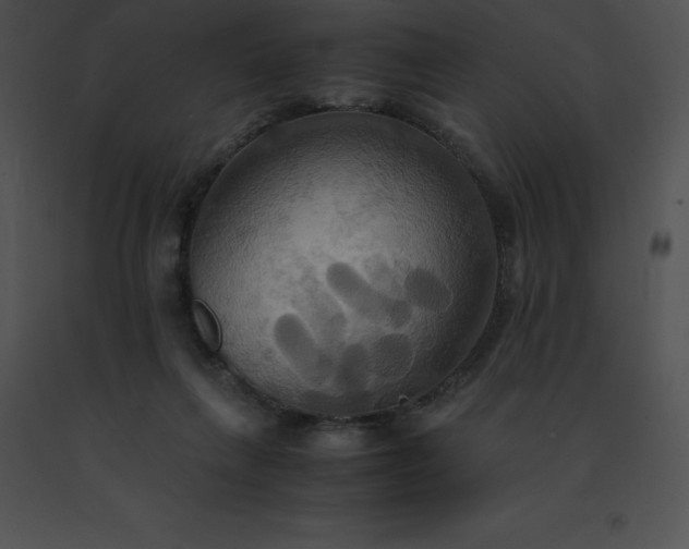 X0000091540263200708311338
