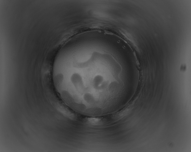 X0000091540265200708311338