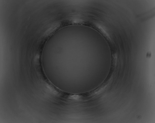 X0000091540269200708311338