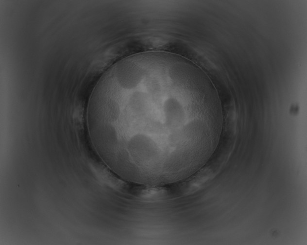 X0000091540274200708311338