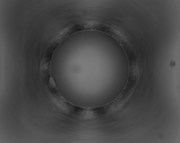 X0000091540276200708311338