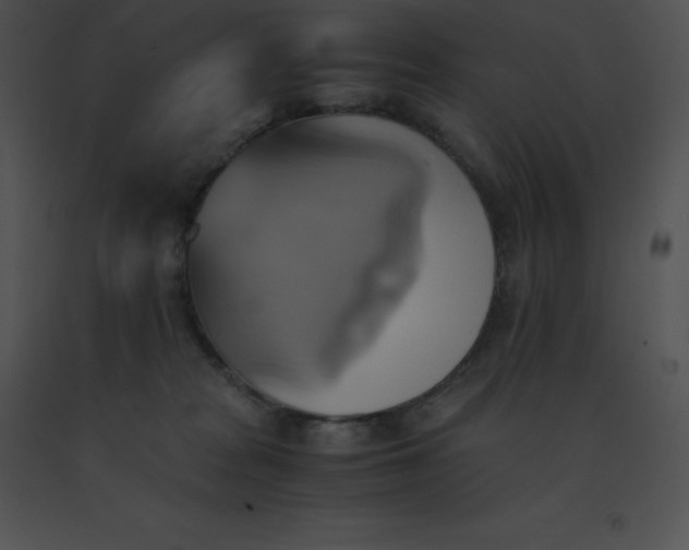X0000091540277200708311338