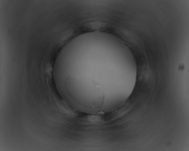 X0000091540279200708311338
