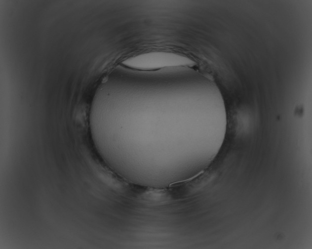 X0000091540280200708311338