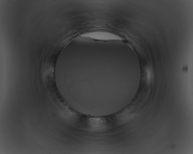 X0000091540281200708311338