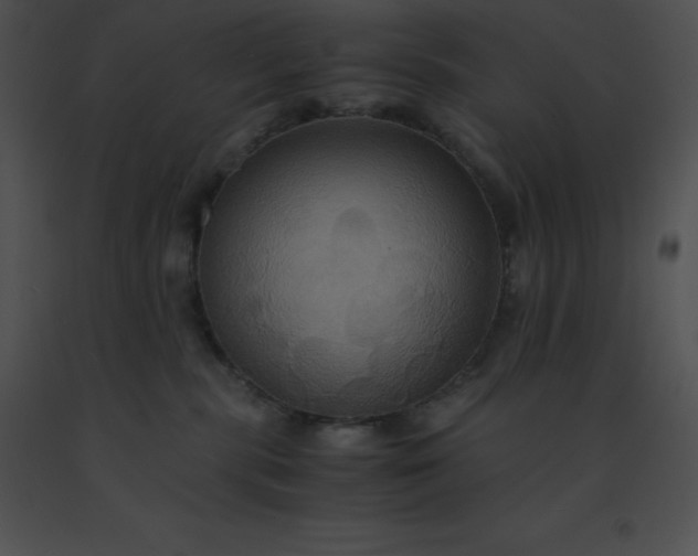 X0000091540283200708311338