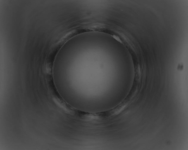 X0000091540284200708311338