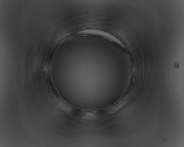 X0000091540285200708311338